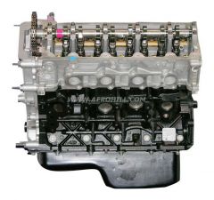 Ford 5.4 02-05 CNG Engine